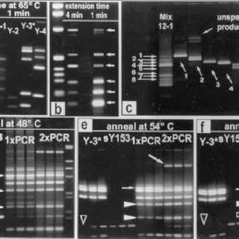 lmspccr|PCCR: Programs.